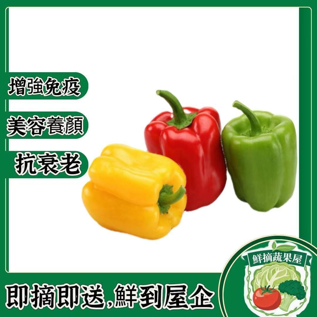 水果三色椒/燈籠椒/三彩椒(500-600g)