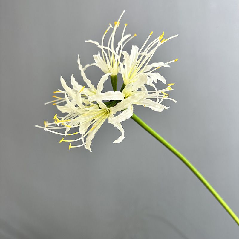 彼岸花仿真花家居擺設 曼珠沙華假花裝飾 婚禮佈置風雨蘭- 單支彼岸花 白色 均碼