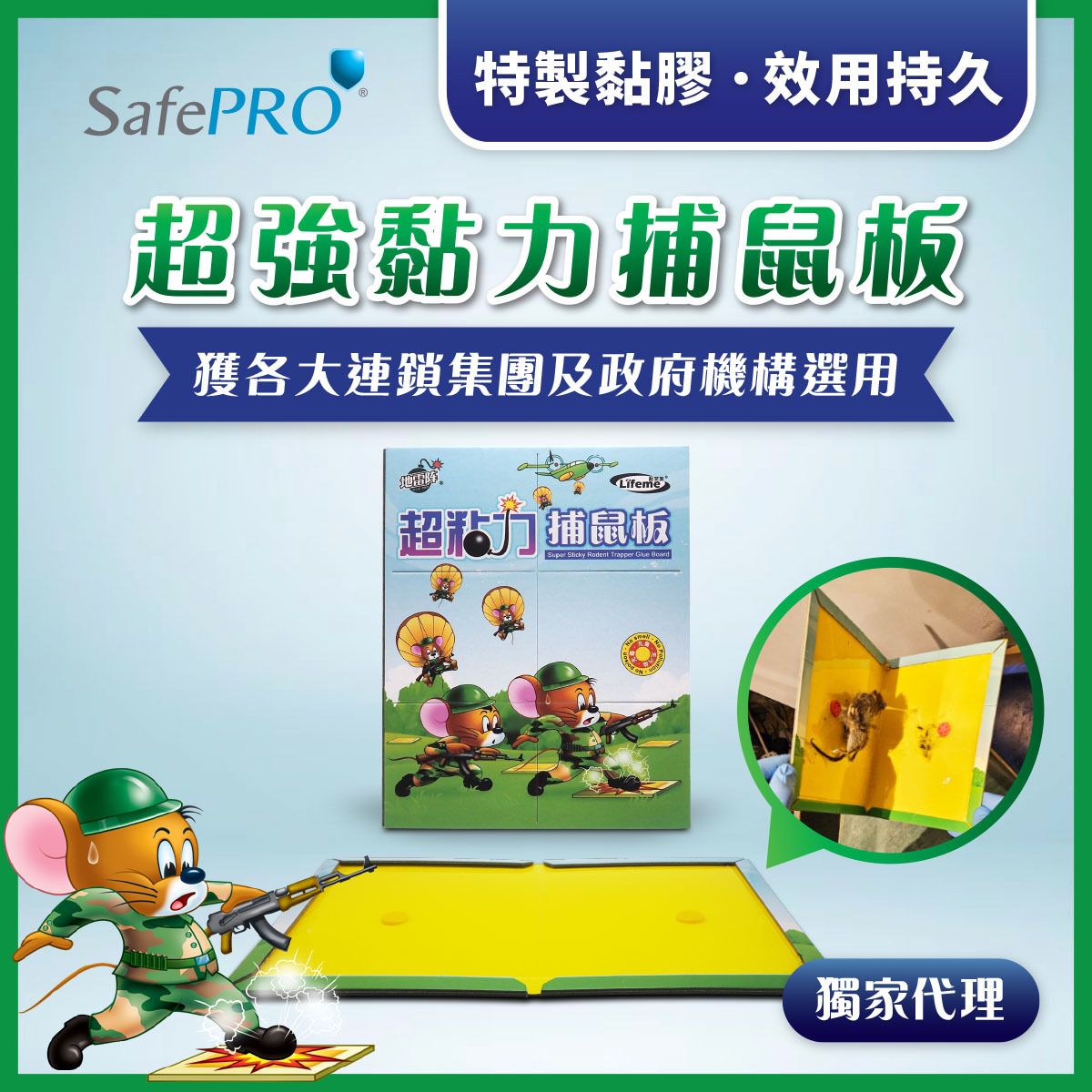 【Exclusive】Mice Glue Board (Cardboard) | Mice Trap | Mouse Trap | Commercial Mouse-Trap Specialist 