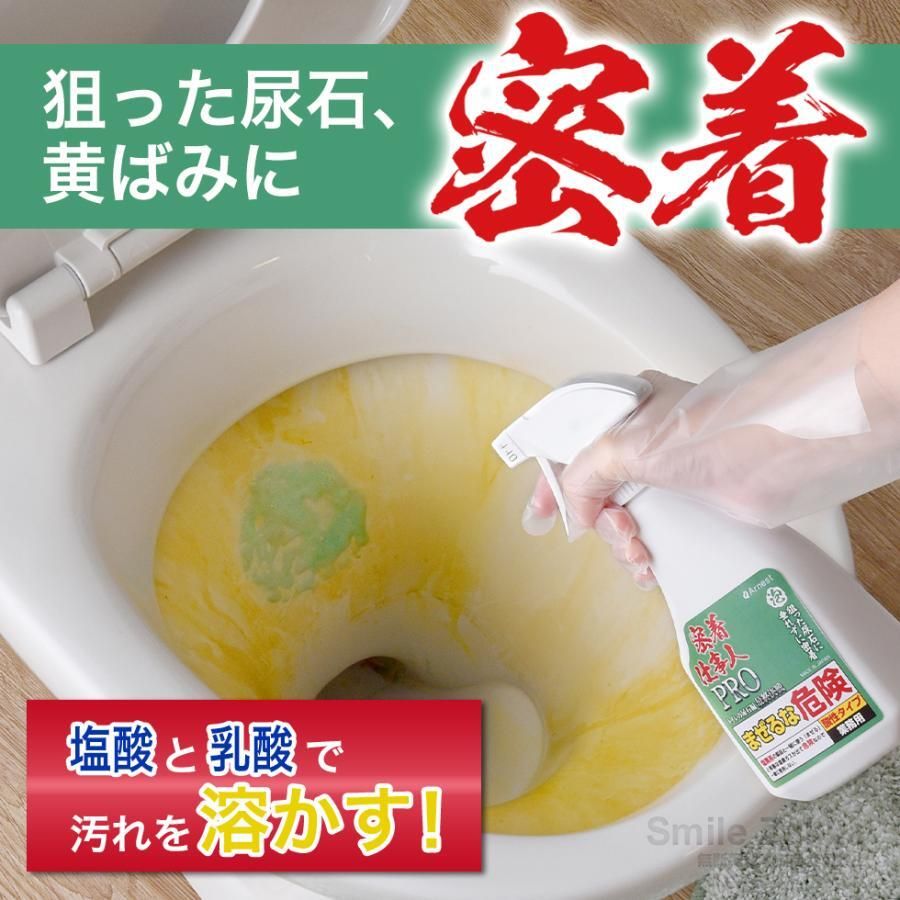 Toilet Bowl Cleaner Spray PRO 250ml ▼B2(81051)