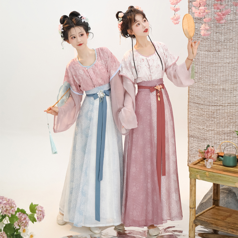 [小唐春]原创唐制汉服印刷唐褙子春夏圆领衫齐腰八破裙日常