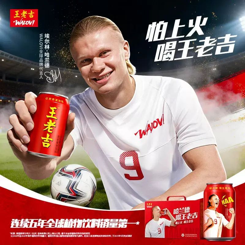 【世界盃球星 哈蘭德聯名】王老吉涼茶植物飲品310mlX6罐 飲品