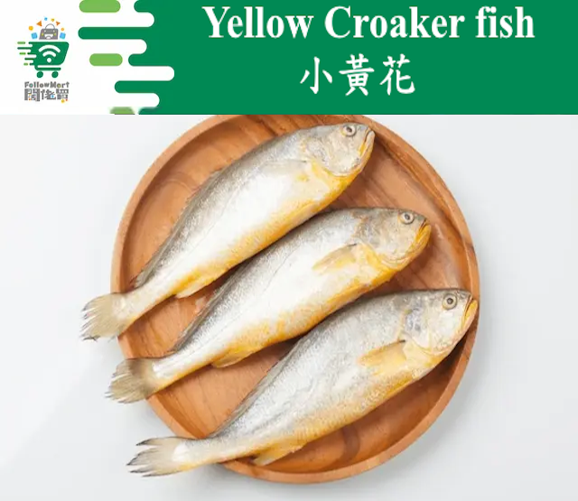 Yellow Croaker Fish 【3pcs pack】(360g+) Frozen #Frozenfish #Freshfrozen #Frozenseafood