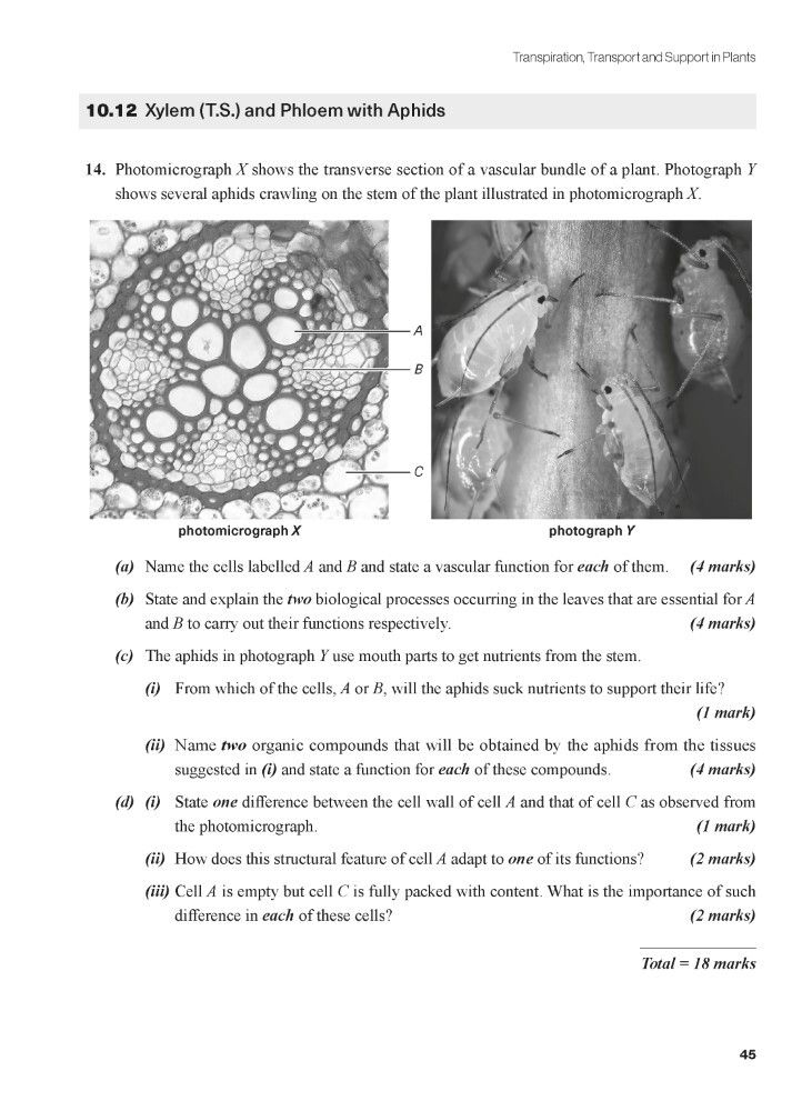 豐文 | Tackling Problems in Biology for the HKDSE - Book 2 (Revised ...