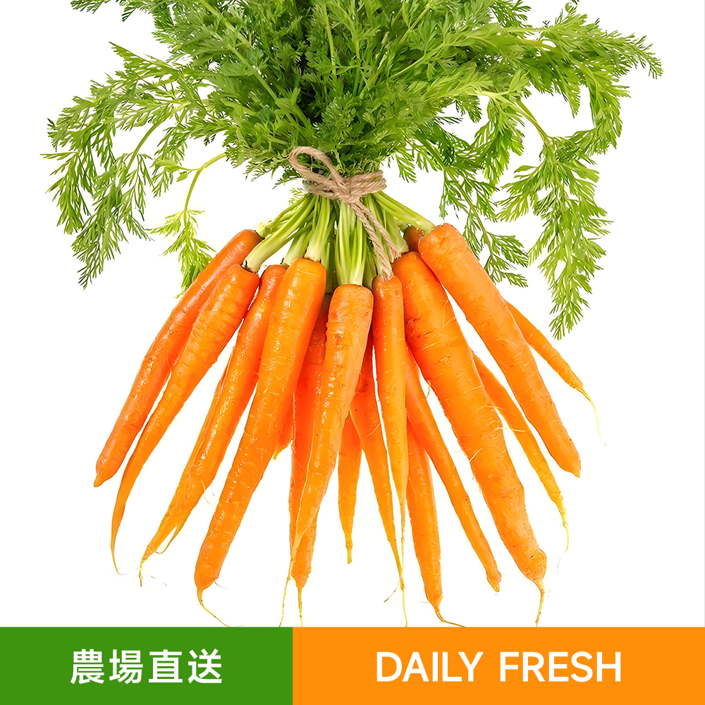 天然有機種植水果袖珍手指蘿蔔（300g） 小巧玲瓏  脆嫩爽口