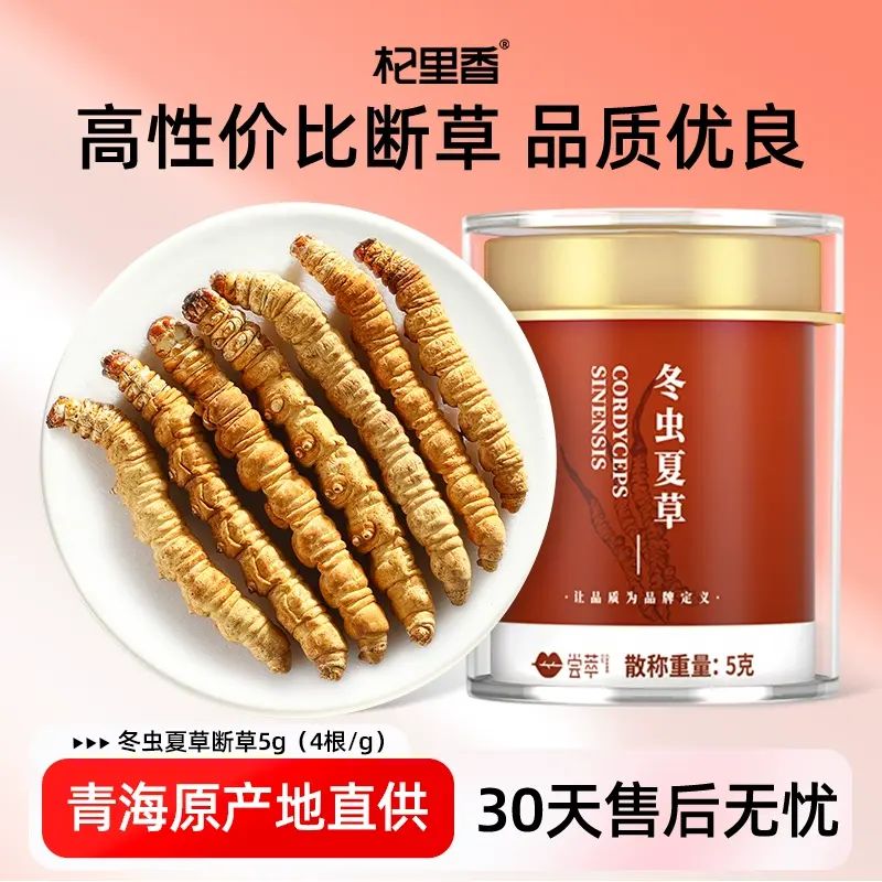 杞裡香青海冬蟲夏草斷草5g（約4根/g）正品東蟲草茶乾貨