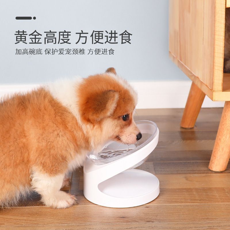 Y44 日本熱賣-寵物斜口高腳碗 貓咪/狗狗護頸防噎食防打翻 水碗 貓碗 狗碗 大口徑寵物食盆飯盆貓盆貓糧碗貓咪