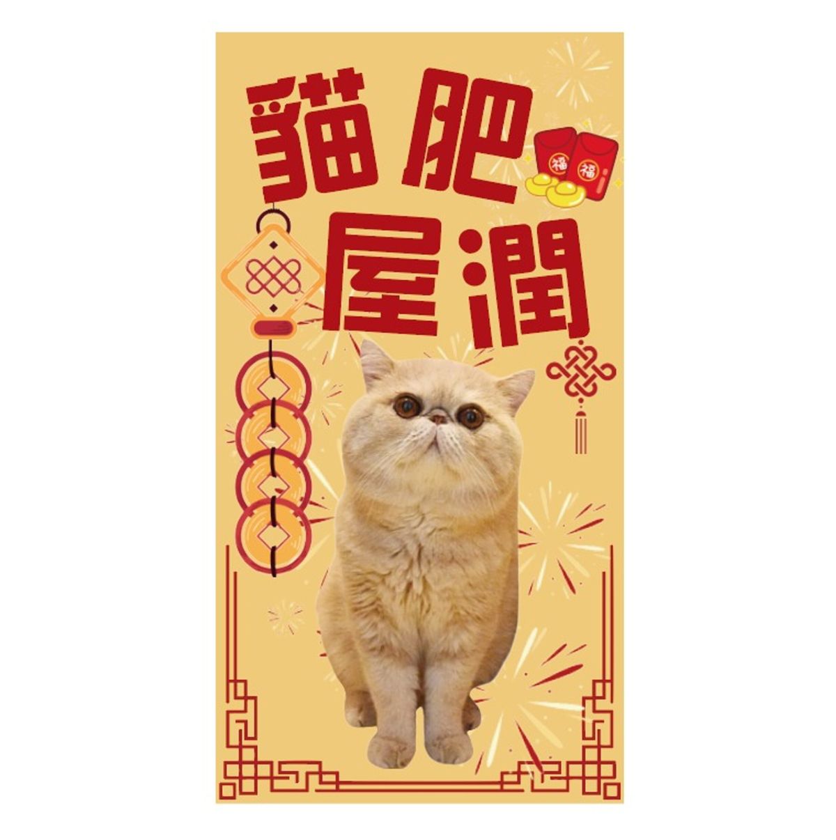 Red Packet x5pcs (cat)