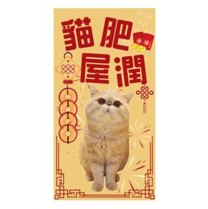 Red Packet x5pcs (cat) 