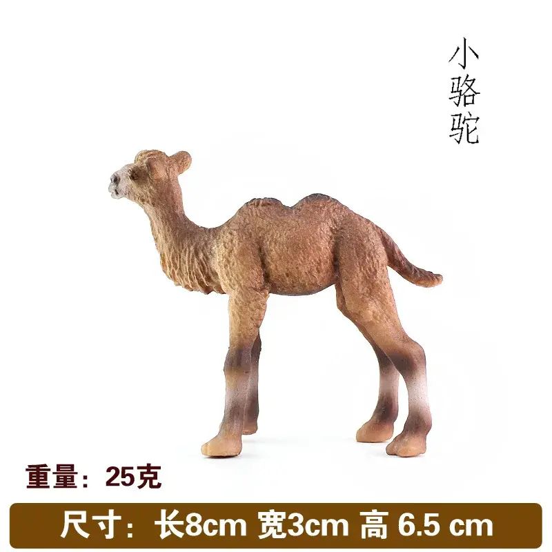 熱銷模擬野生動物雙峰小駱駝塑膠實心靜態兒童玩具擺件禮物