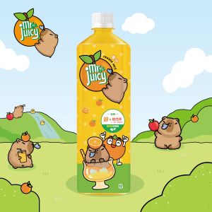 Orange Juice 1L   