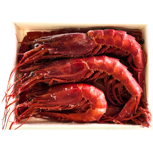 Savory | 非州莫桑比克野生西班牙紅蝦Wild Carabineiro Scarlet Shrimp