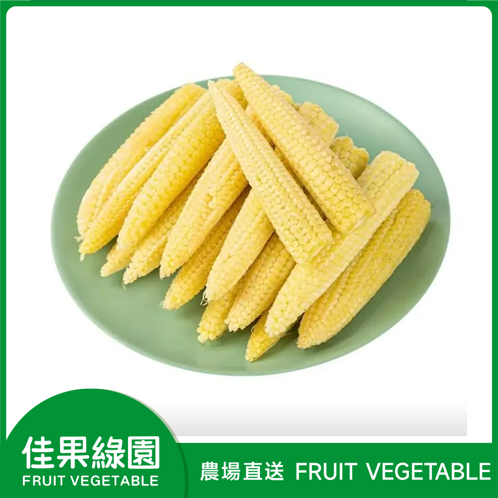 Fresh Direct Delivery Baby Corn / Pearl Corn (1 Pack / 300-400g) 粟米仔