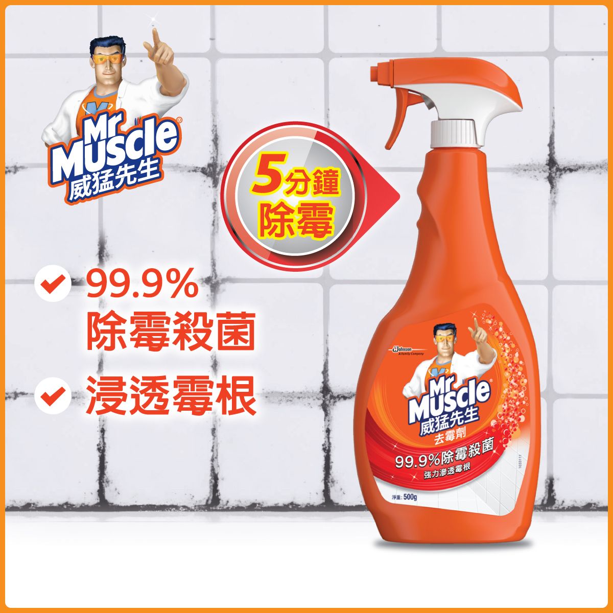 Mold Killer