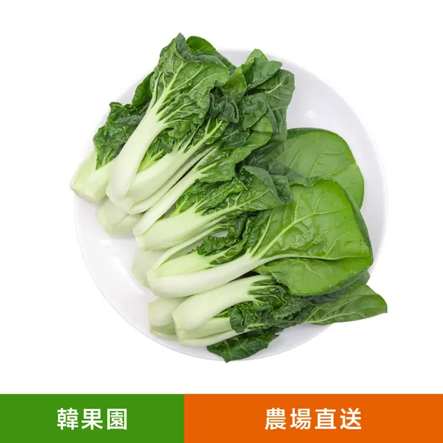 農場新鮮有機種植奶白菜（300-400g）鮮甜脆嫩 入口多汁