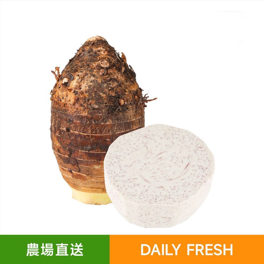 去皮大芋頭肉（1大個装）去皮真空包裝   粉糯芋頭