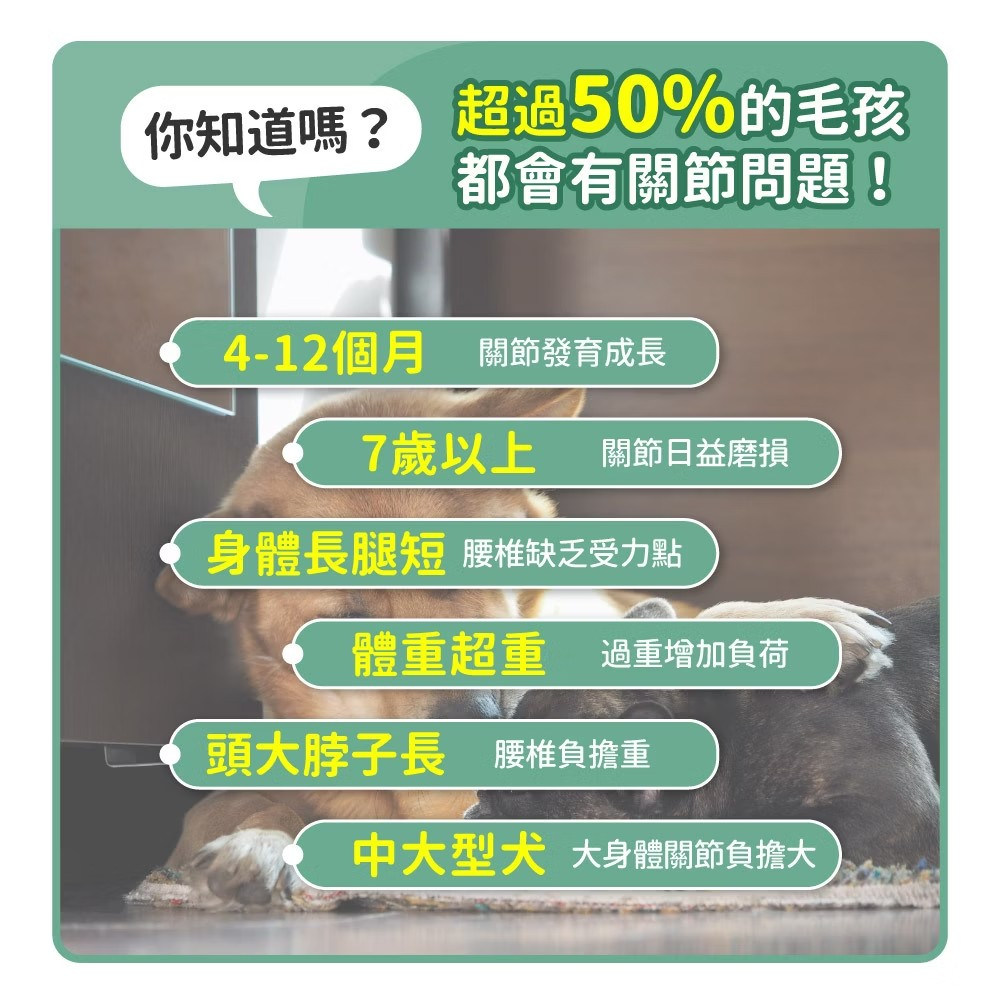 毛孩時代 - 【2盒裝】關節強效保養粉 (30包/盒) 7