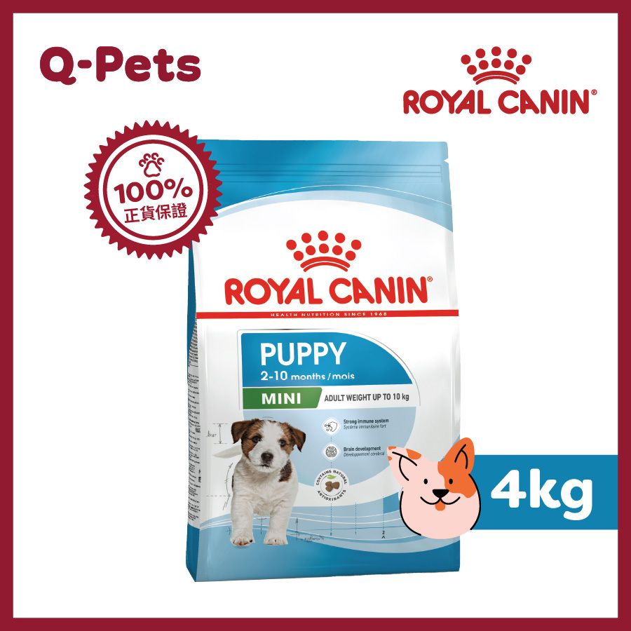 APR33 2-10months small puppy 4KG