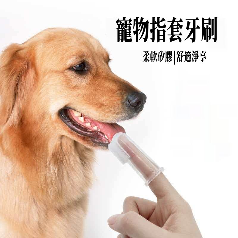 A39- (2個)寵物口腔清潔護理手指牙刷 透明矽膠寵物指套刷 貓咪專用 狗狗刷牙神器 小型犬清潔手指套牙刷