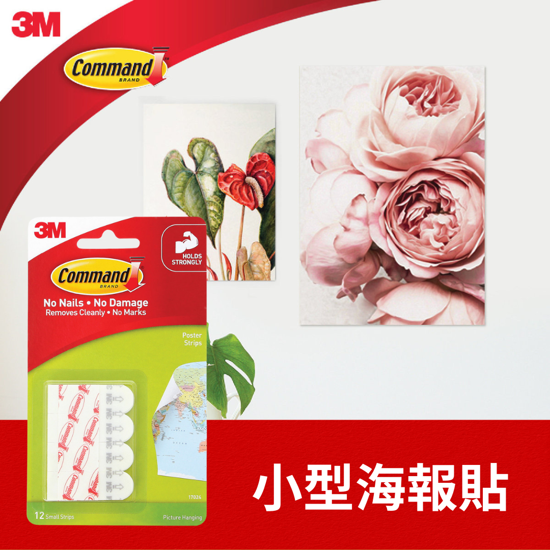 無痕™ 小型海報貼 (17024HK)