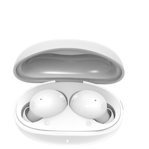 [贈品] True Wireless Earbuds T12 (價值$168) 