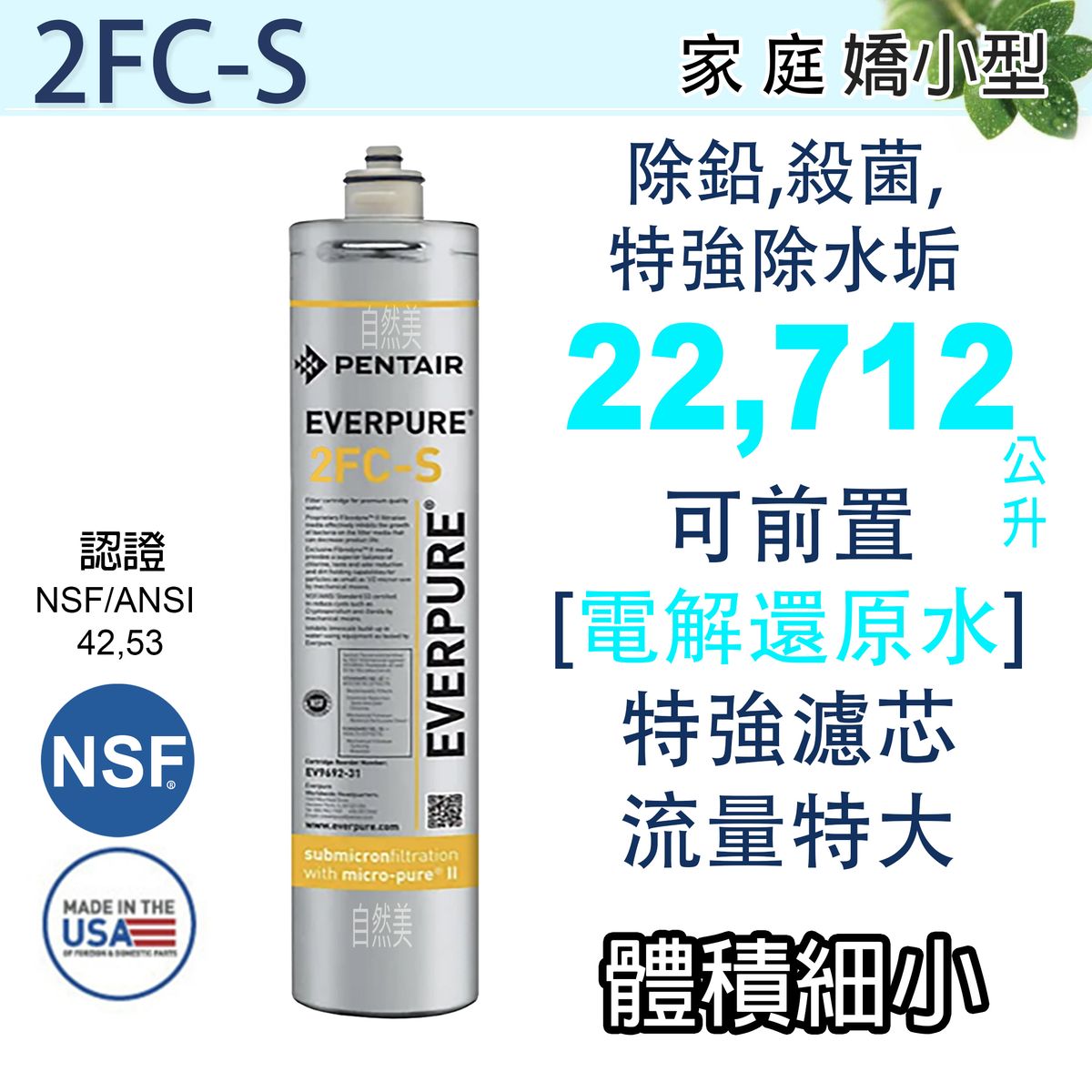 愛惠浦| Everpure 2FCS 替換濾芯2fc-s x1(EV969176)[平行進口] 枱上/枱