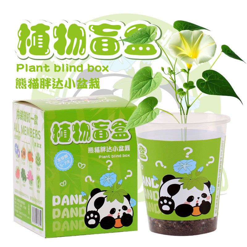 新年植物盲盒種植盆栽小學生耶誕節禮物獎品幼稚園禮物創意小禮品熊貓植物盲盒-藍色