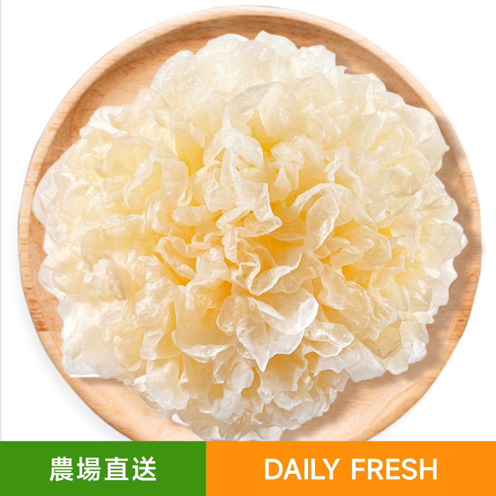 肉質鮮嫩易出膠鮮銀耳(1個)免泡發