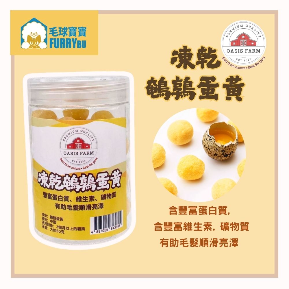 Freeze dried Quail Egg Yolk 50g (Best Before: 30/7/2026)