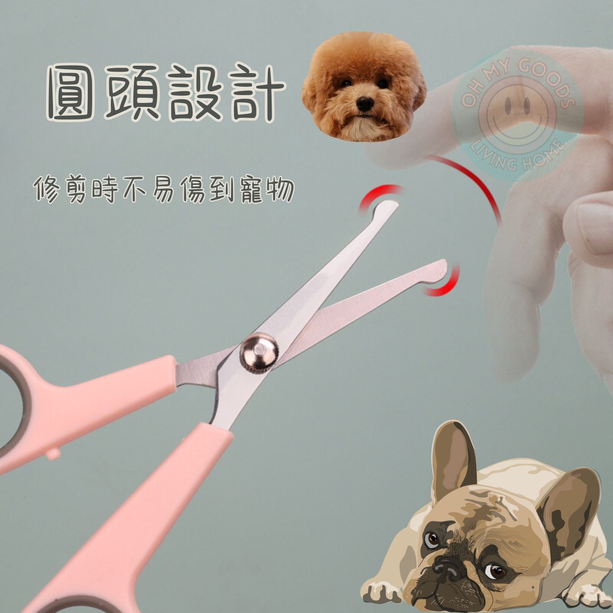 Histotree-寵物剪毛鉸剪 寵物剪刀 寵物美容剪 狗狗修毛剪 貓狗剪毛鉸剪 圓頭寵物鉸剪 塑料猫咪平剪 狗狗剪毛修毛剪 兒童鉸剪