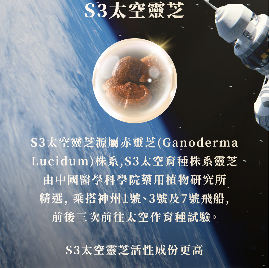 S3絡活靈芝產品介紹圖 7