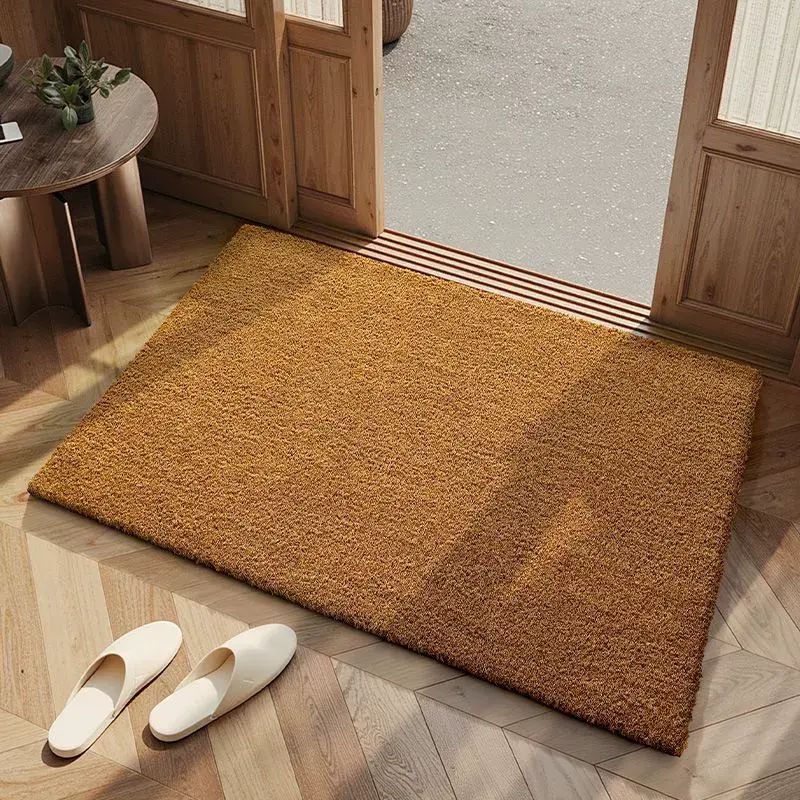 賽勒入戶門地墊戶外除塵腳墊耐磨刮泥地毯家用玄關門廳陽臺進門墊