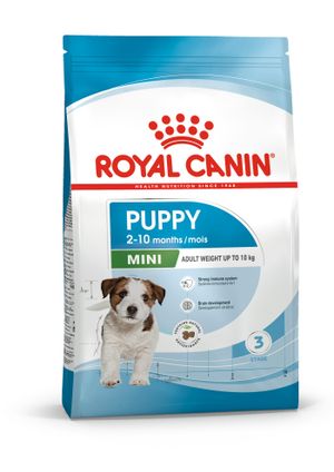 APR33 2-10months small puppy 2KG
