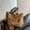 Retro Japanese Canvas Handbag | Women's Bag