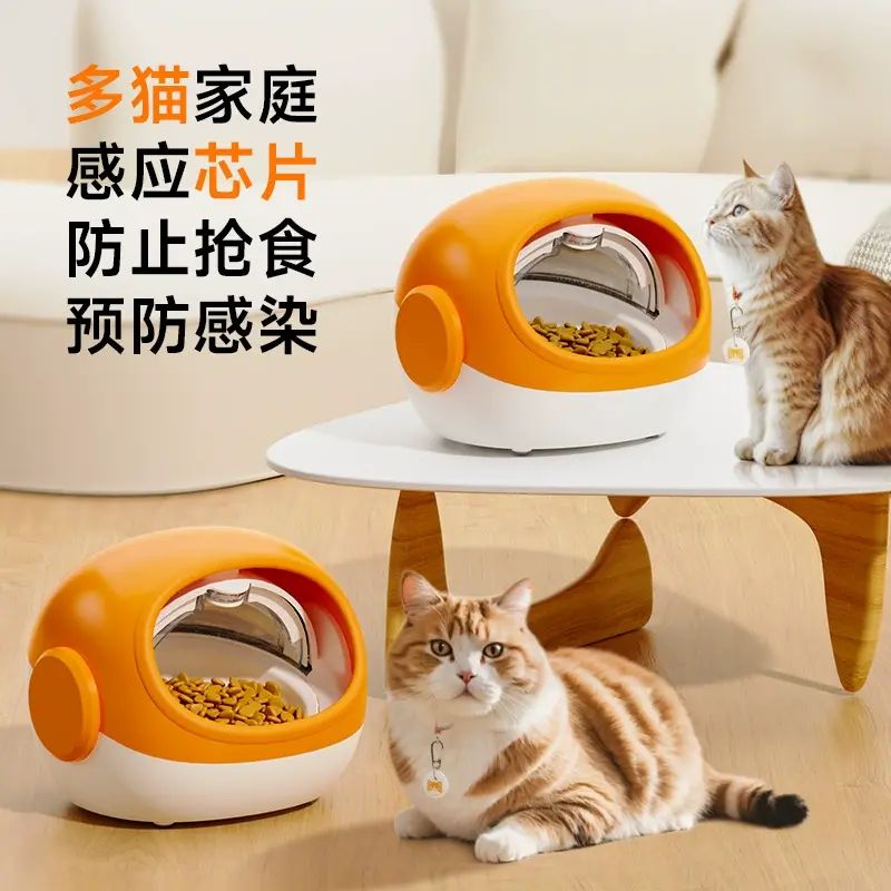 探寵防搶食晶片識別多貓咪自動餵食器定時控制寵物貓糧投食機