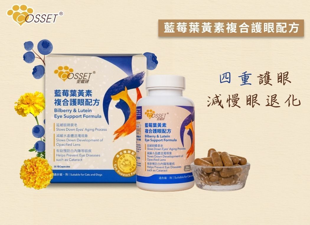 藍莓葉黃素複合護眼配方 貓狗適用 30粒