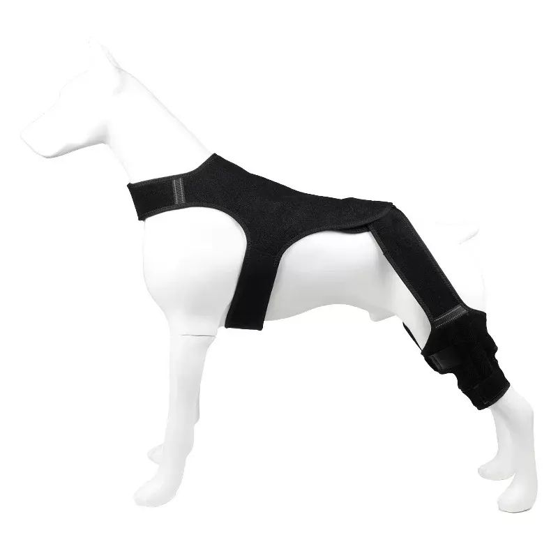 Pet Dog Leg Joint Knee Brace Patella Protection Assist Recovery Dog Cat Ligament Joint