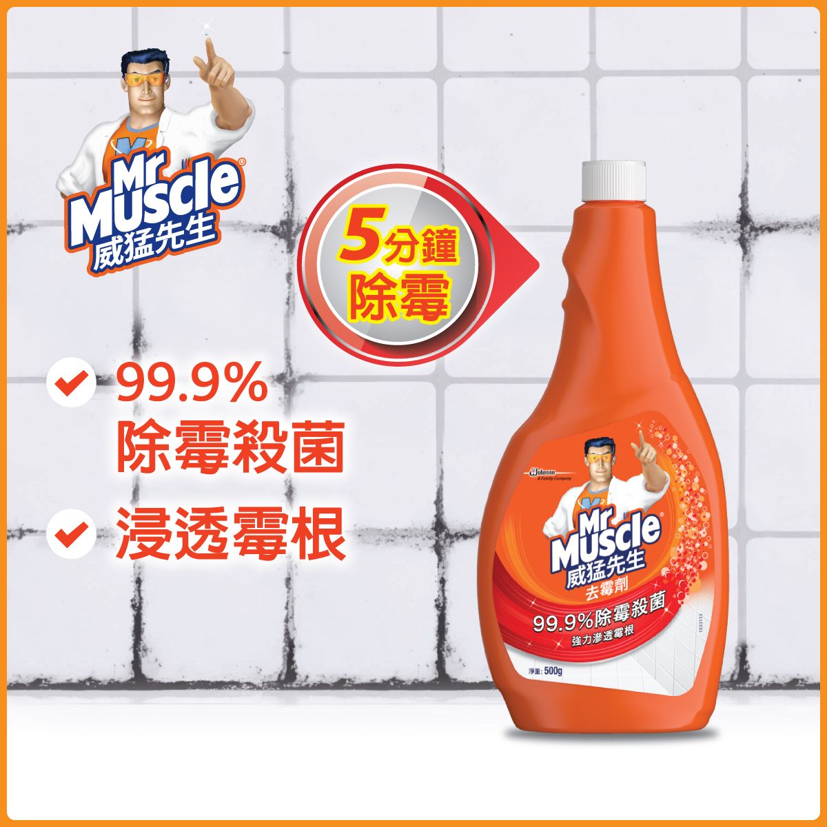 Mold Killer Refill