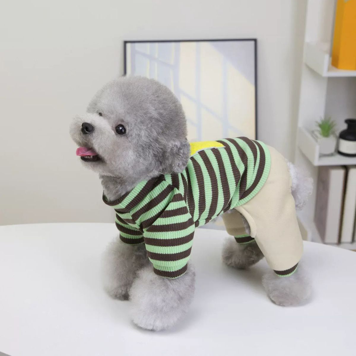 新款狗狗衣服小型犬四脚衣可爱休闲条纹四腿狗衣服秋冬季宠物服装