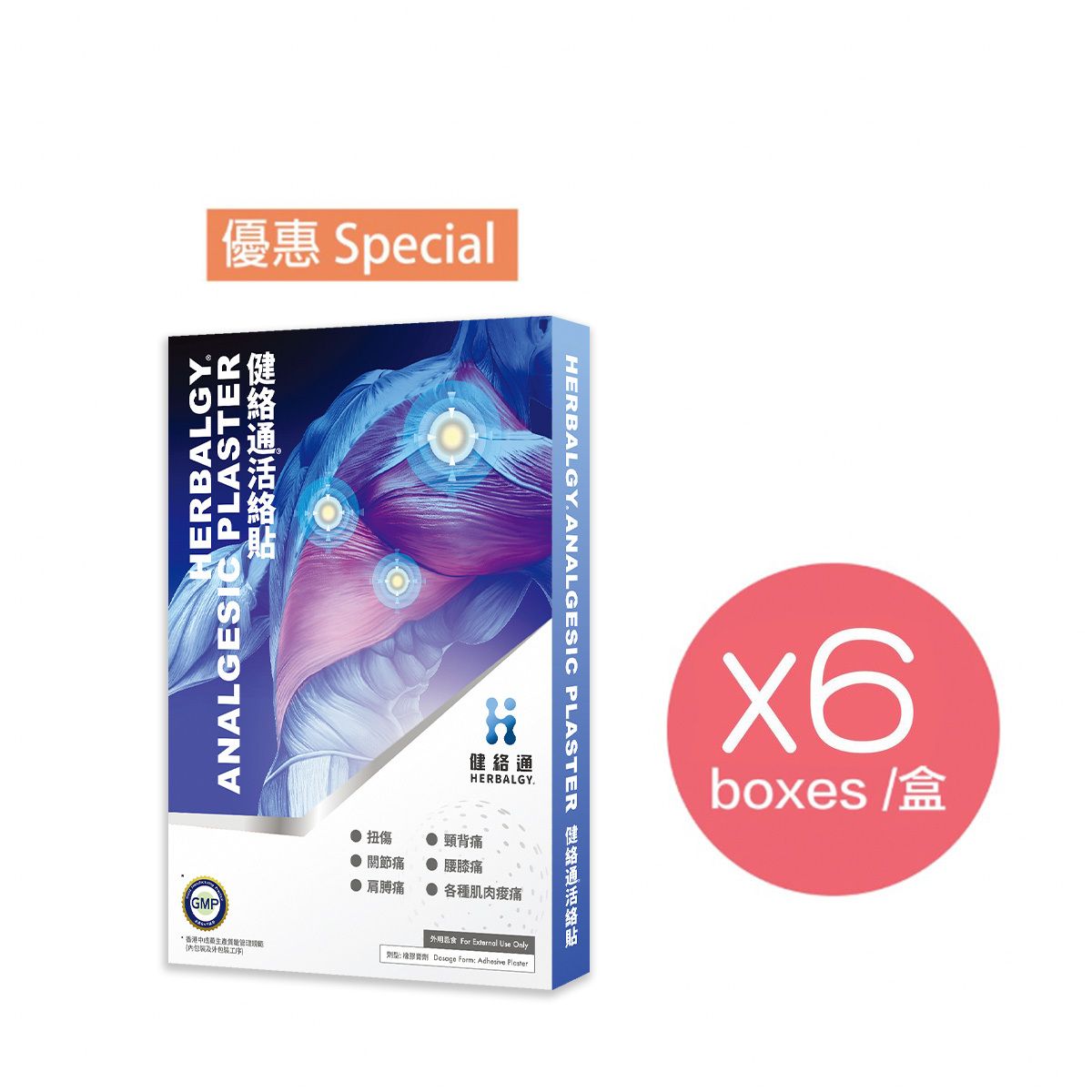 Herbalgy Analgesic Plaster 5 patches - 6pcs