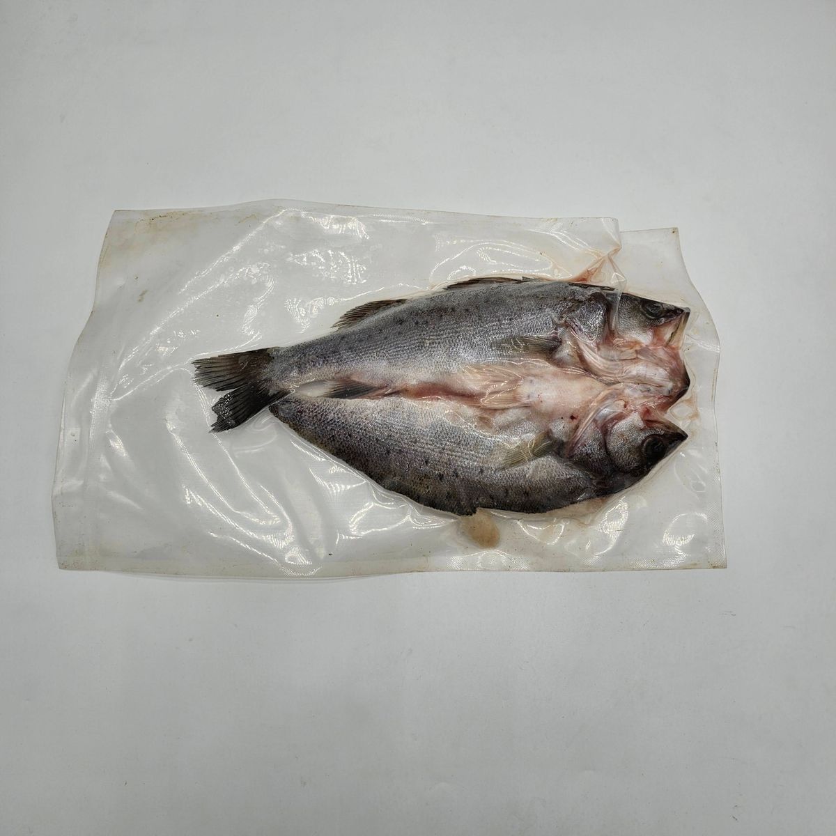 (300 開背花鱸) AA+ Sea Bass 300-350G  (Scaled and Gutted) (Frozen-18°C)