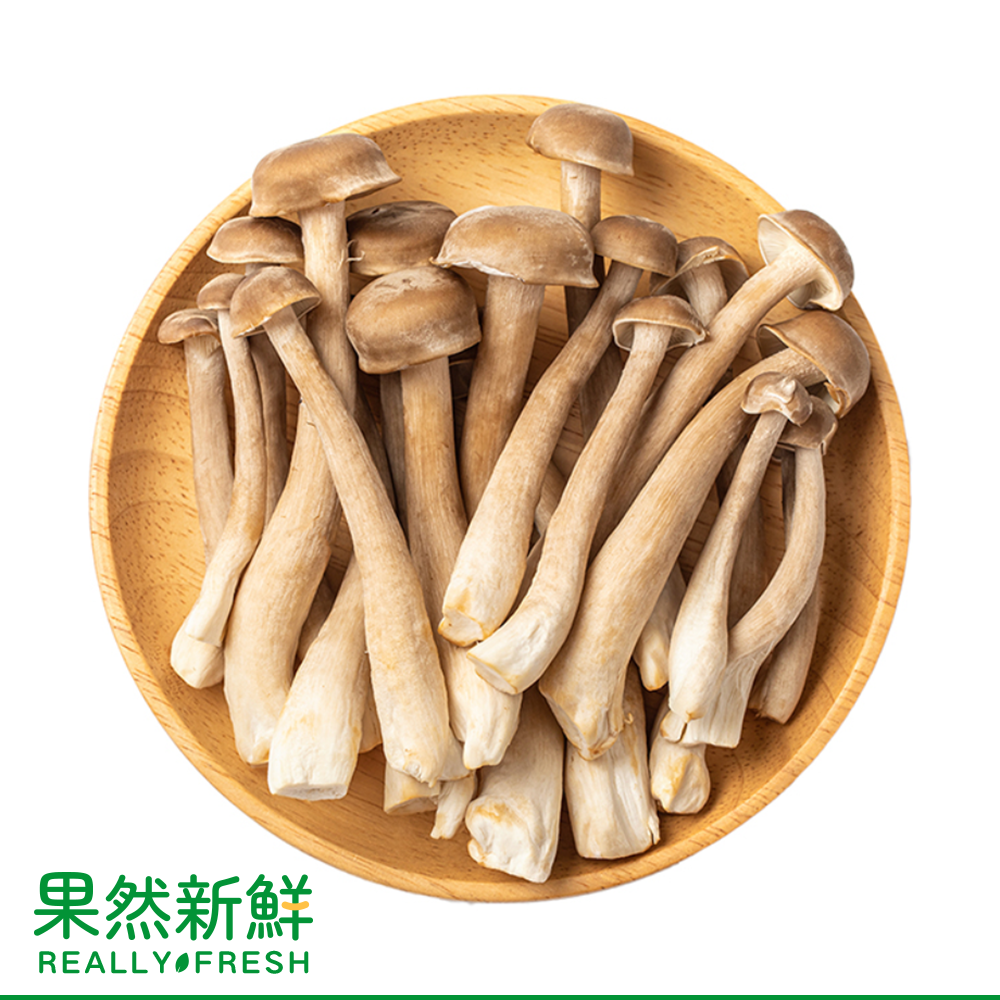 新鮮直送鹿茸菇一份(300g)荷葉菇/鹿茸菌/鹿茸蘑菇