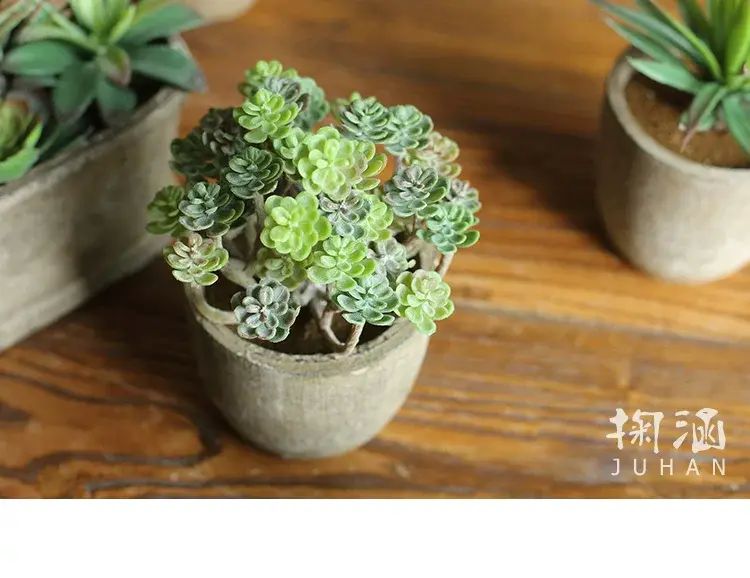 掬涵家居| 掬涵模擬多肉植物盆景肉肉小盆栽綠植假花擺件桌面裝飾品小