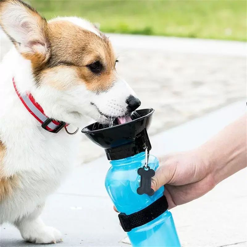 飲水器喝水遛狗水壺行動式杯子隨身車載寵物戶外水碗水瓶外出狗狗