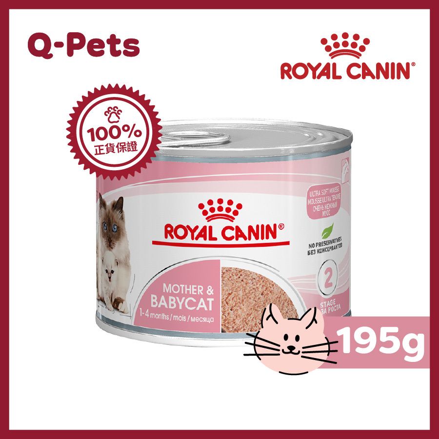 Royal Canin法國皇家 1-4個月BB貓罐頭 195g-BB02 離乳貓