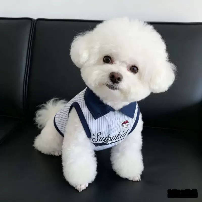 夏季新款寵物狗狗衣服春中小型犬反領背心條文POLO領衣服夏泰迪