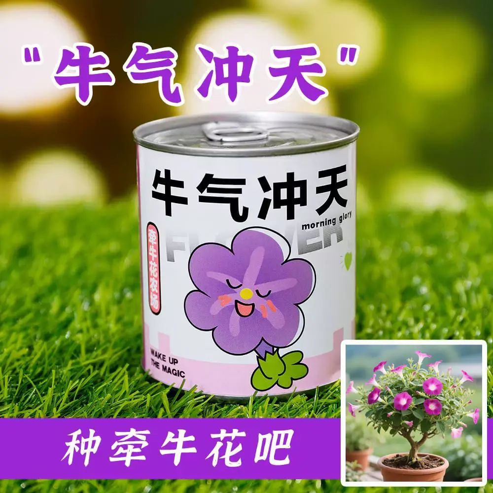 兒童勵志種植小盆栽 小學生種植盲盒禮品創意手工DIY植物罐頭盆栽