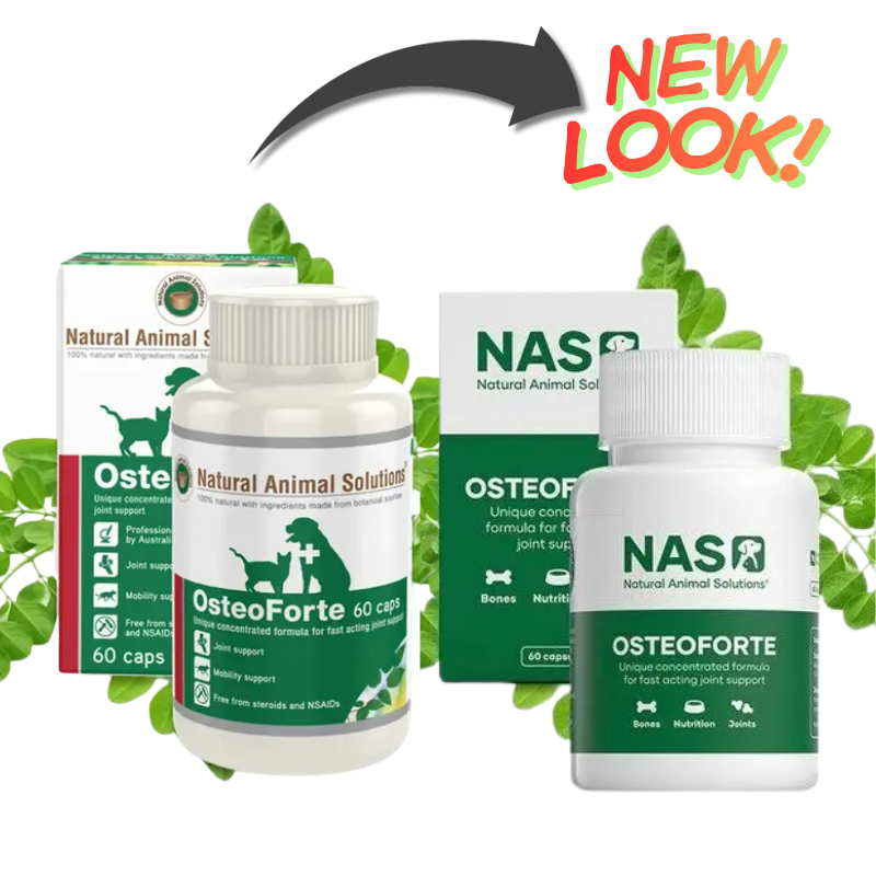 Osteo Forte Dogs & Cats Joint Mobility Support (60 Caps) (new look coming soon)