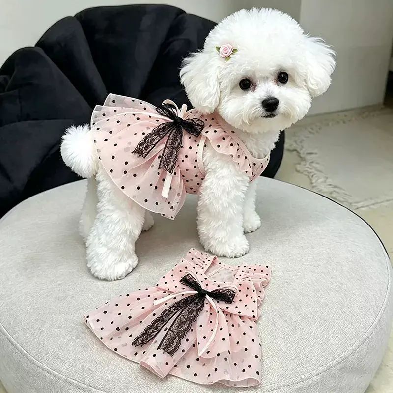 狗狗波點蕾絲連身裙寵物服裝公主裙小貓咪裙夏季薄款蓬蓬裙紗裙