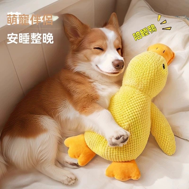狗狗磨牙发声解闷玩具 | 狗狗毛绒玩具 | 金毛柯基宠物陪伴解闷玩具 | 宠物小黄鸭子玩具-冲锋鸭小号